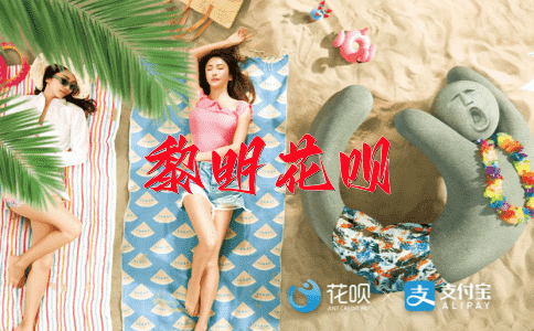 不可理喻花呗